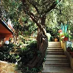 住宿加早餐酒店 Delle Rose