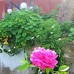 Delle Rose 4* 切法卢