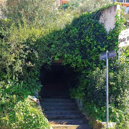 Delle Rose