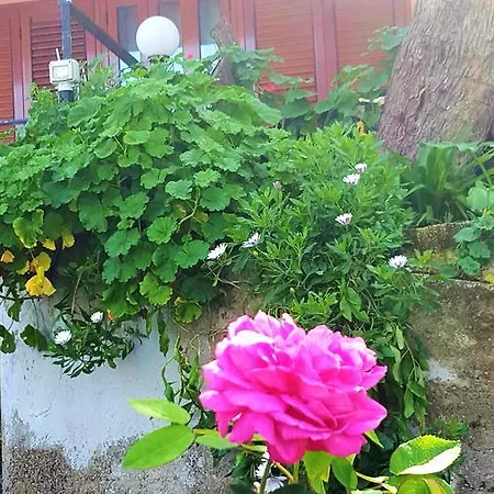 Delle Rose * Cefalù