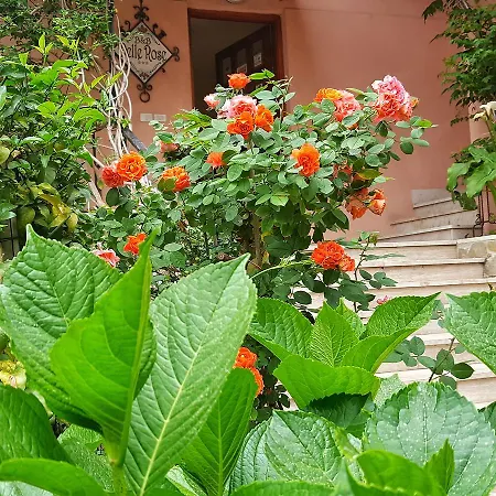 Delle Rose Frühstückspension *